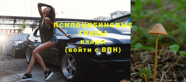 прущий лед Верея