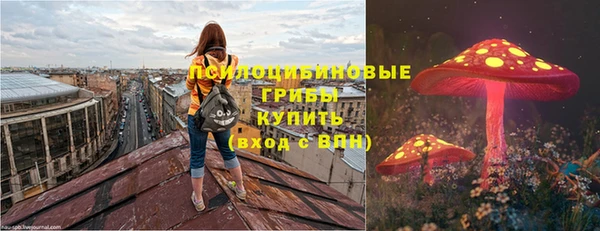 бошки Надым