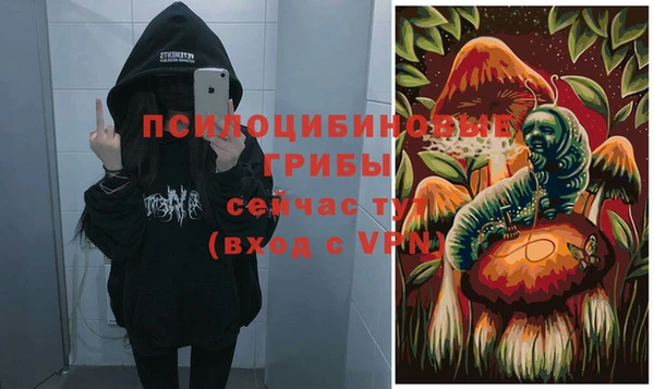 прущий лед Верея